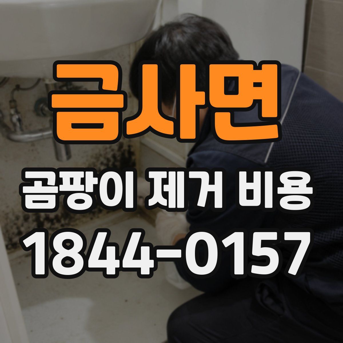 금사면 곰팡이 제거 비용