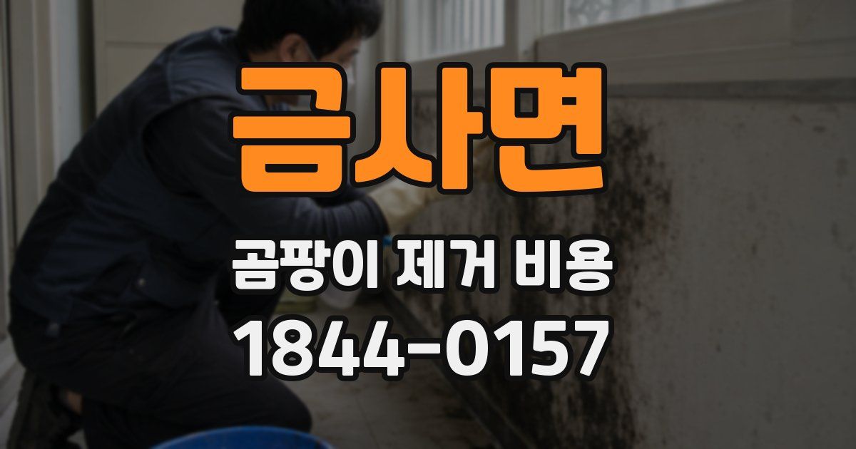 금사면 곰팡이 제거 비용