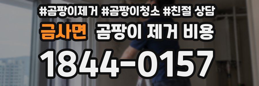 금사면 곰팡이 제거 비용