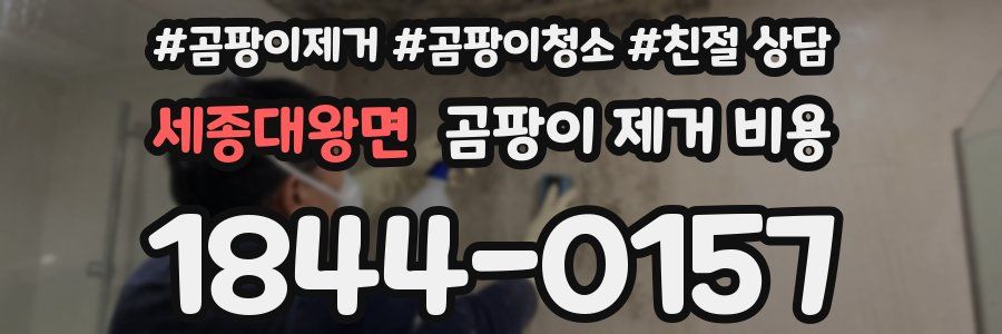세종대왕면 곰팡이 제거 비용