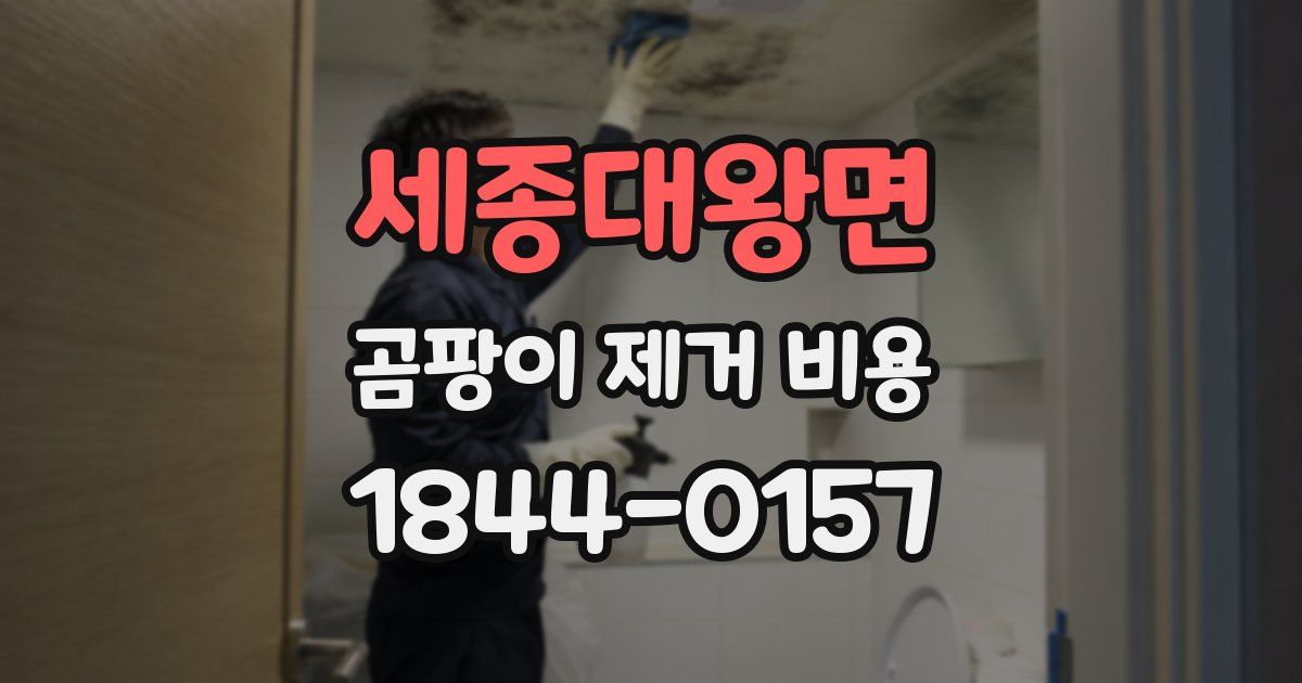세종대왕면 곰팡이 제거 비용