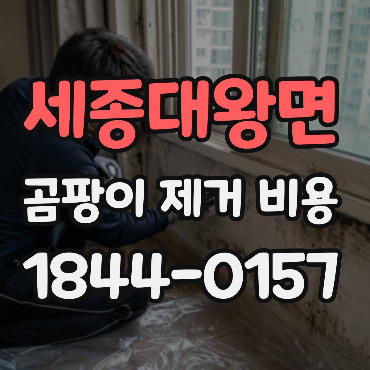 세종대왕면 곰팡이 제거 비용