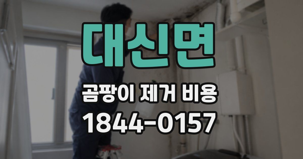 대신면 곰팡이 제거 비용