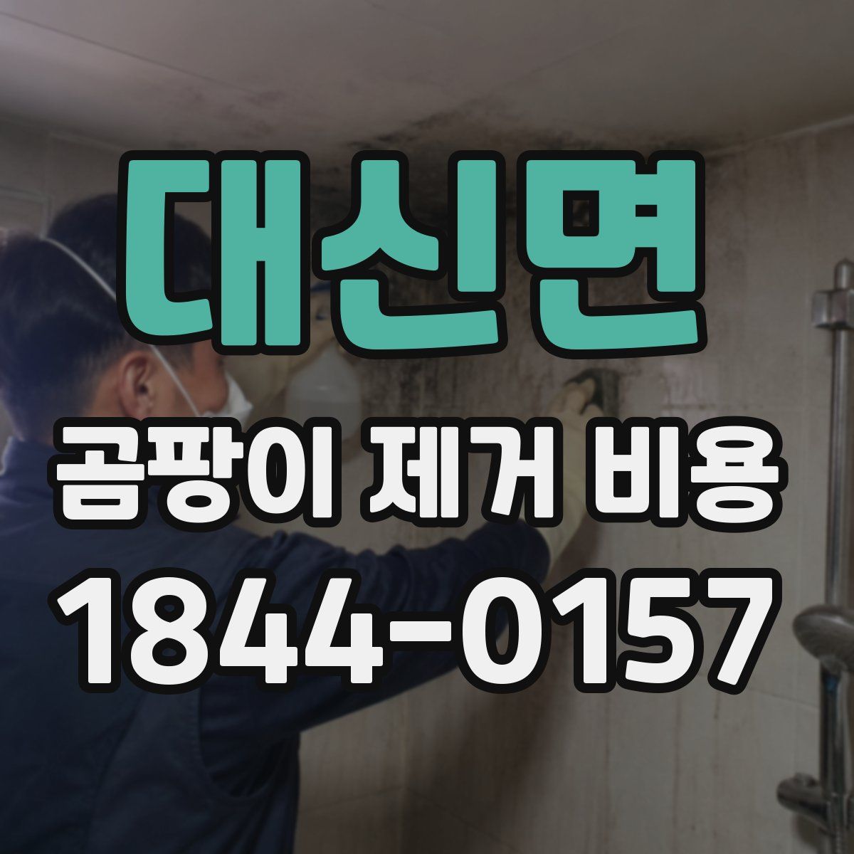 대신면 곰팡이 제거 비용