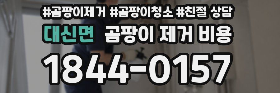 대신면 곰팡이 제거 비용