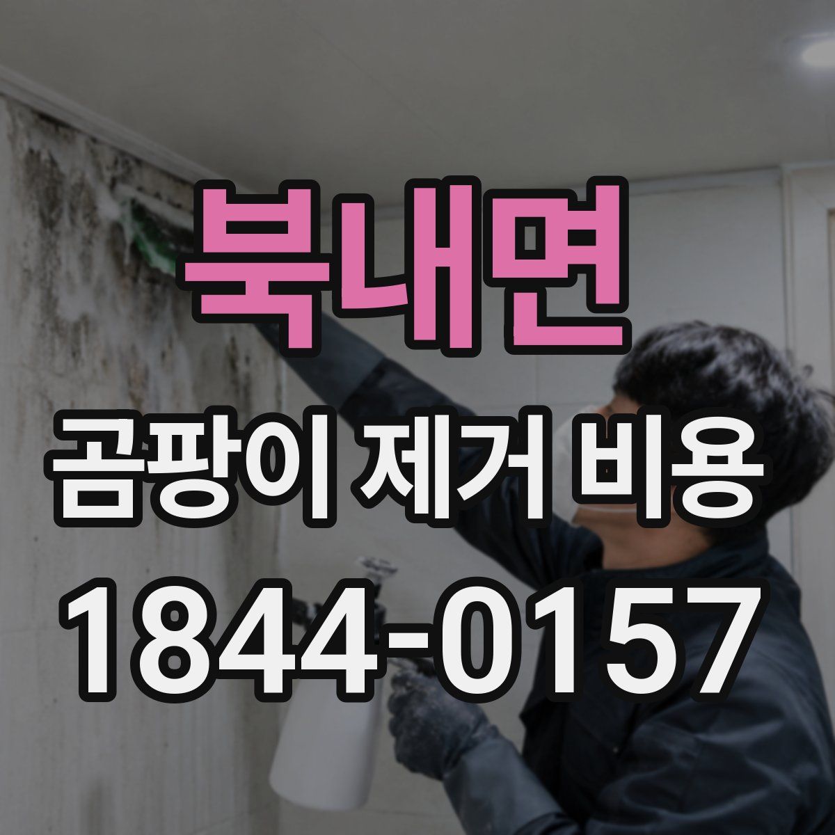 북내면 곰팡이 제거 비용