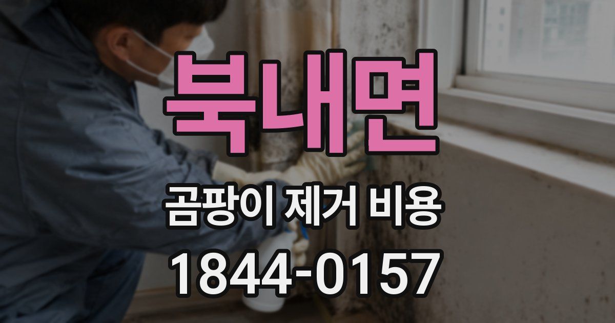 북내면 곰팡이 제거 비용