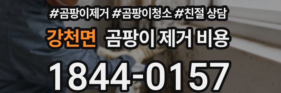 강천면 곰팡이 제거 비용