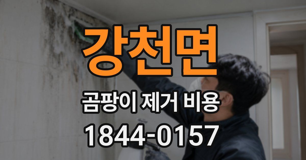 강천면 곰팡이 제거 비용