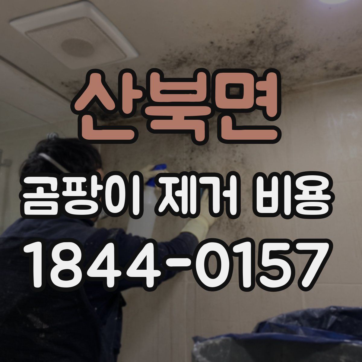산북면 곰팡이 제거 비용