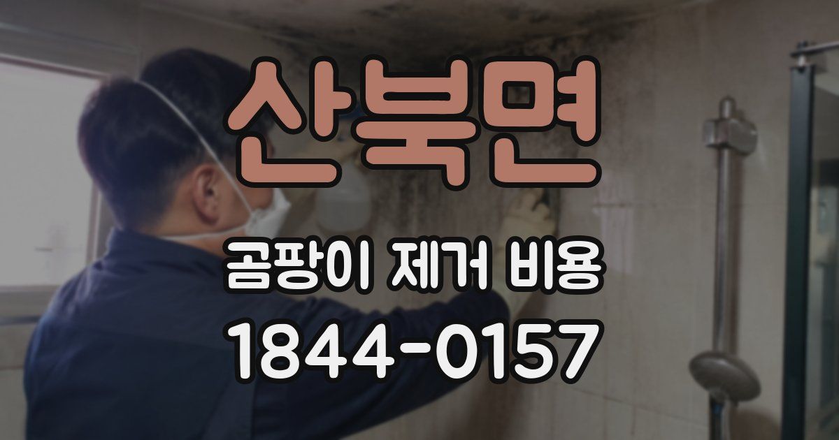 산북면 곰팡이 제거 비용