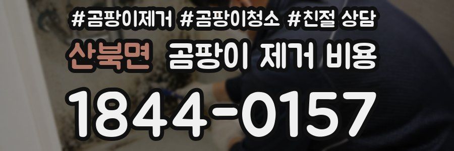 산북면 곰팡이 제거 비용