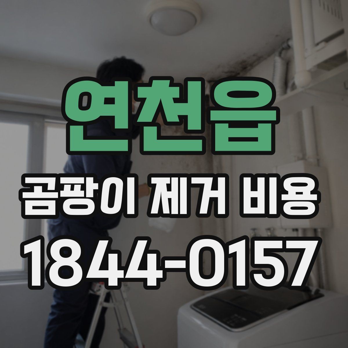 연천읍 곰팡이 제거 비용 오염 정도별로 달라지는 예상 범위