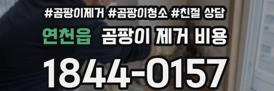 연천읍 곰팡이 제거 비용