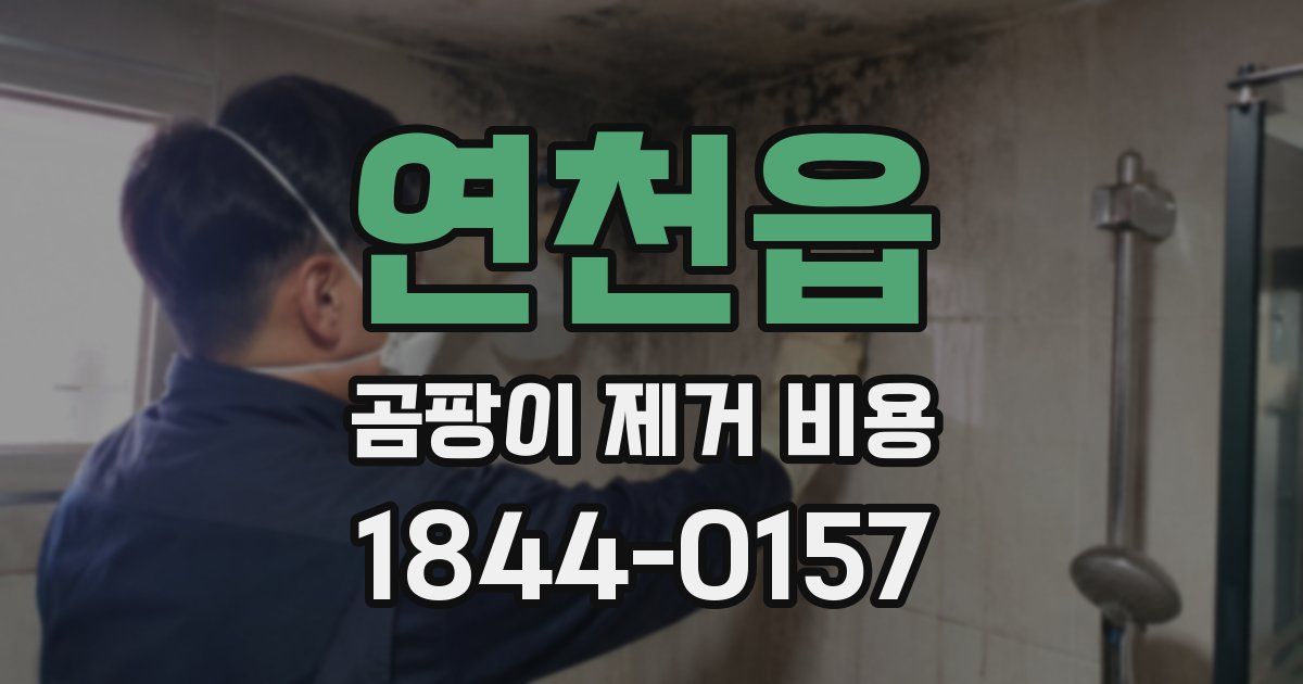 연천읍 곰팡이 제거 비용