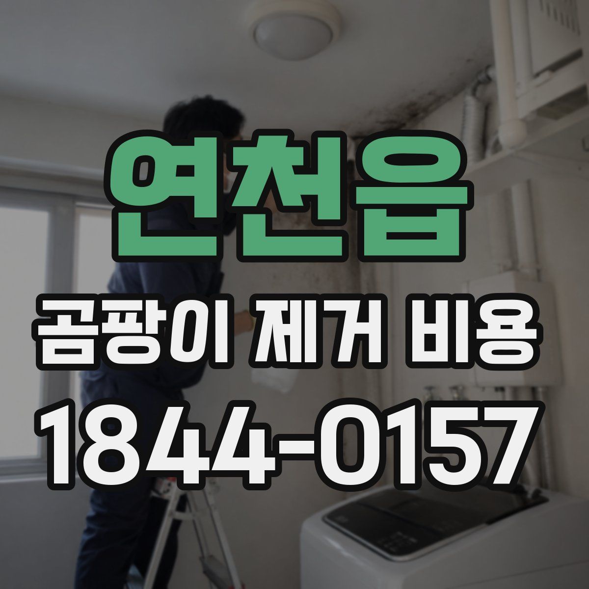 연천읍 곰팡이 제거 비용