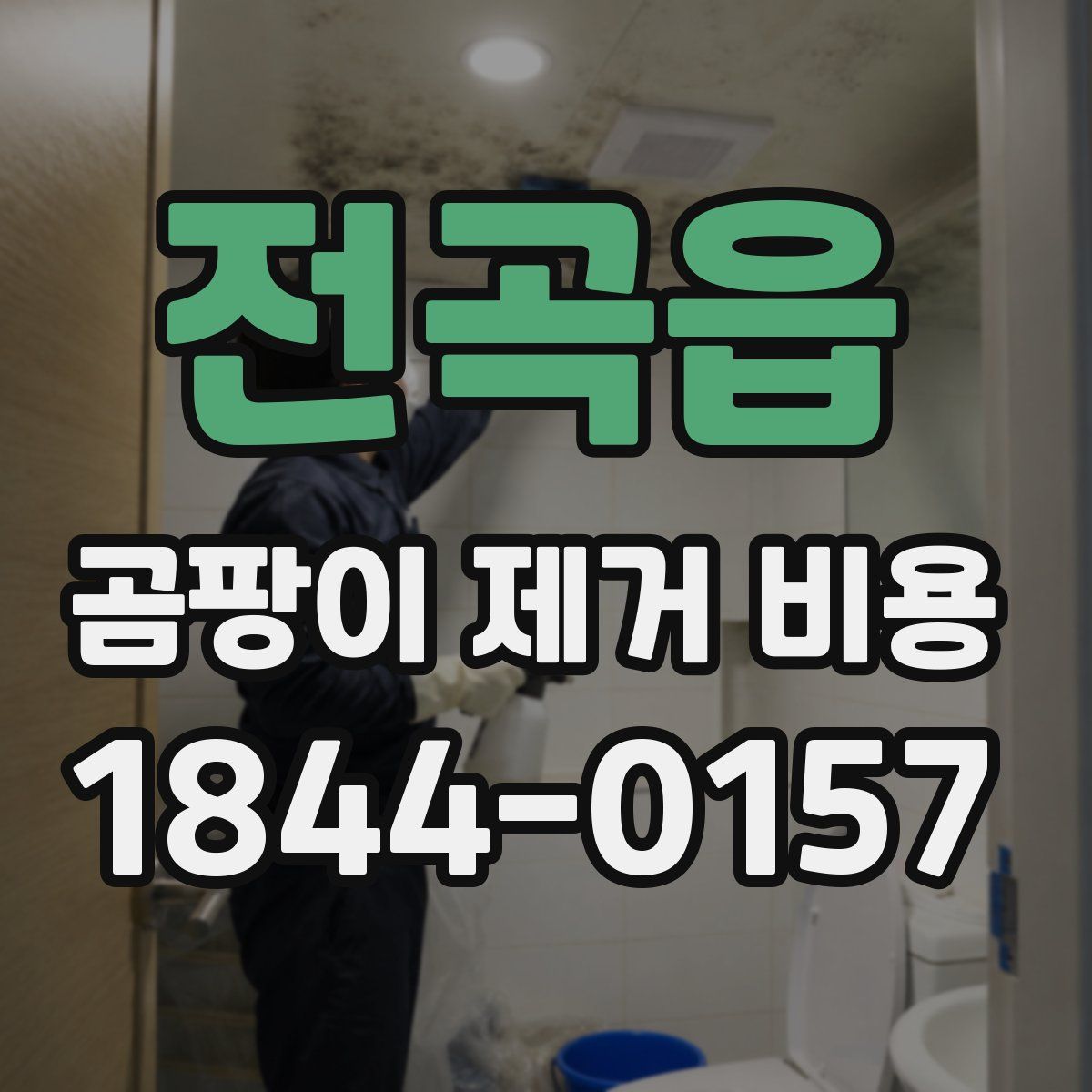 전곡읍 곰팡이 제거 비용