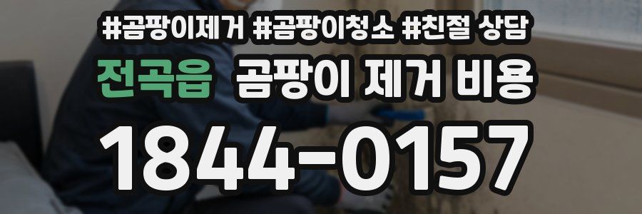 전곡읍 곰팡이 제거 비용