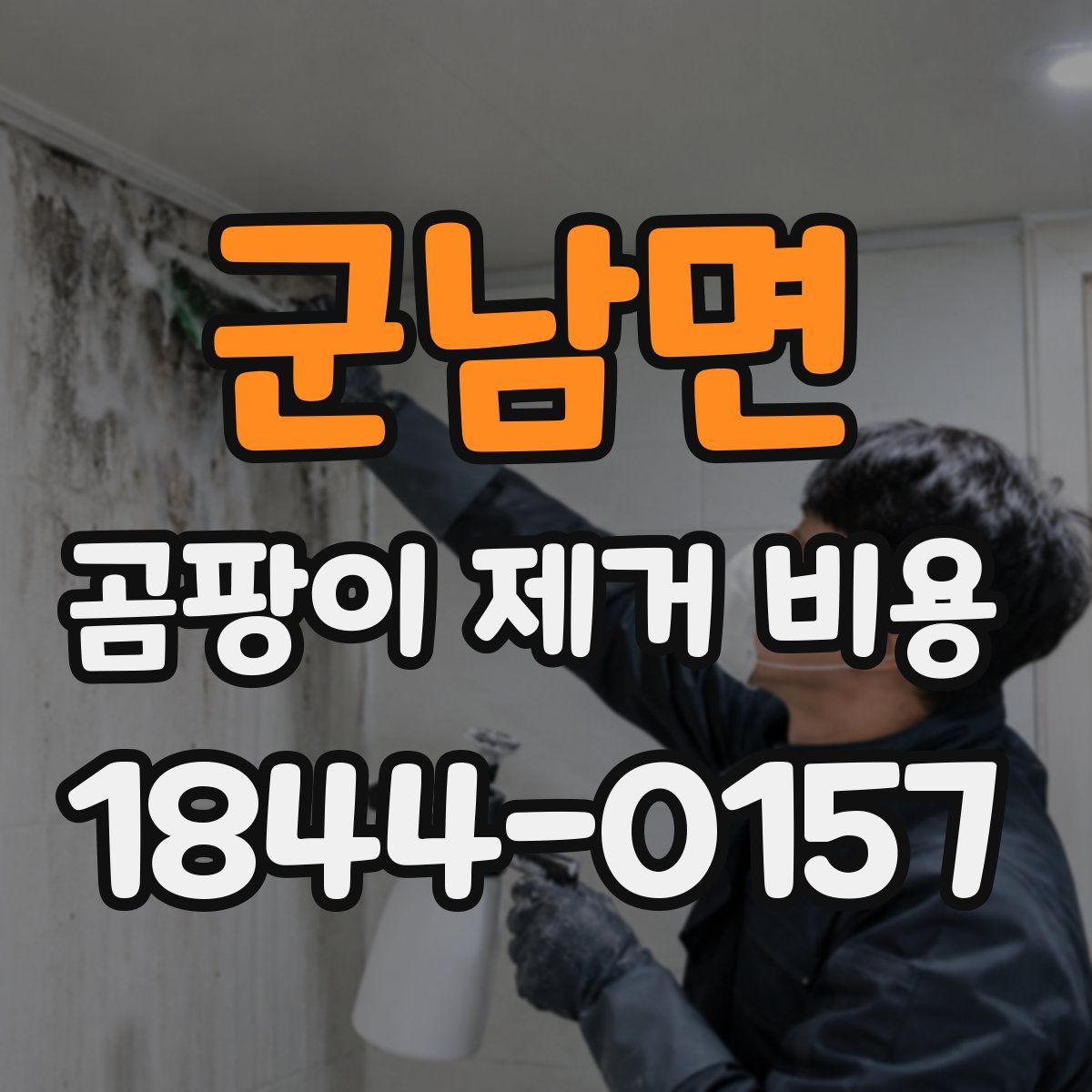 군남면 곰팡이 제거 비용