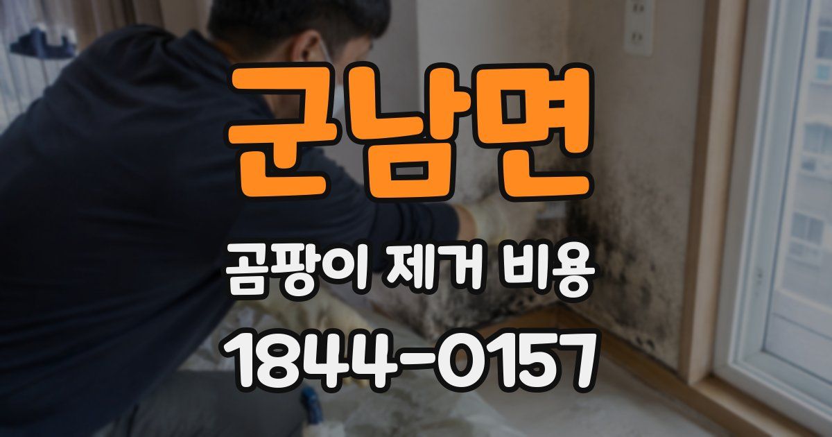 군남면 곰팡이 제거 비용