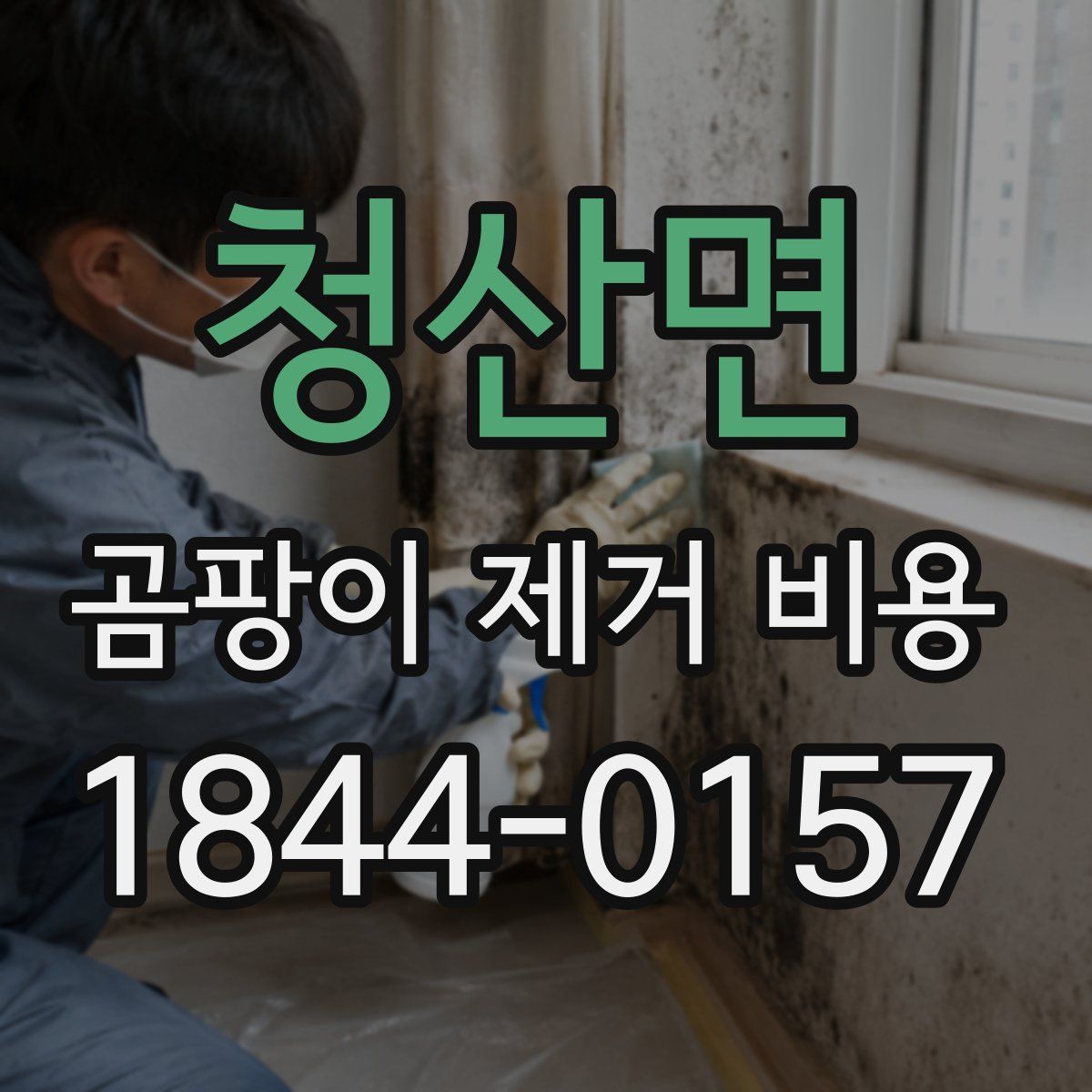 청산면 곰팡이 제거 비용