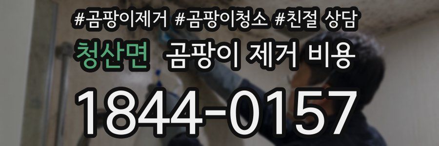 청산면 곰팡이 제거 비용