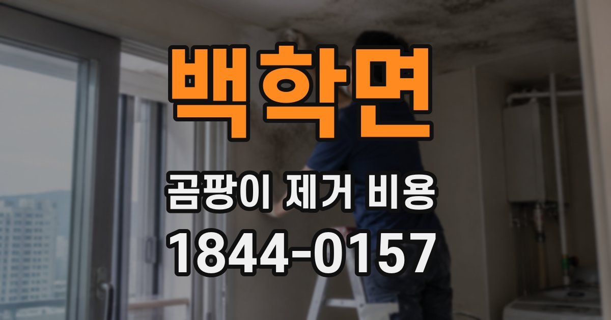 백학면 곰팡이 제거 비용