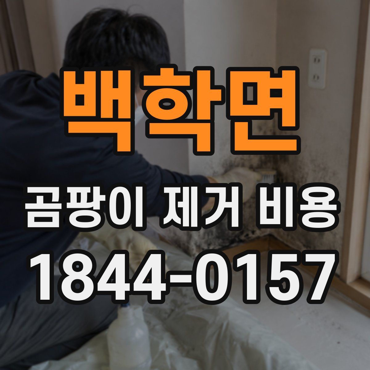 백학면 곰팡이 제거 비용