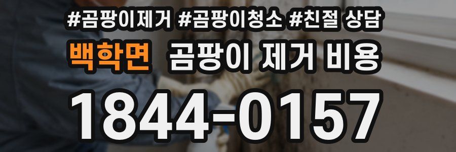 백학면 곰팡이 제거 비용