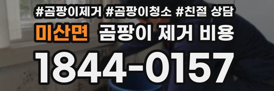 미산면 곰팡이 제거 비용