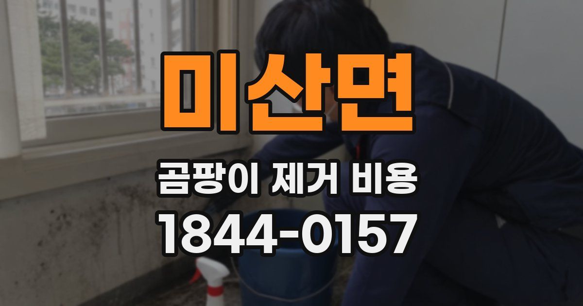 미산면 곰팡이 제거 비용