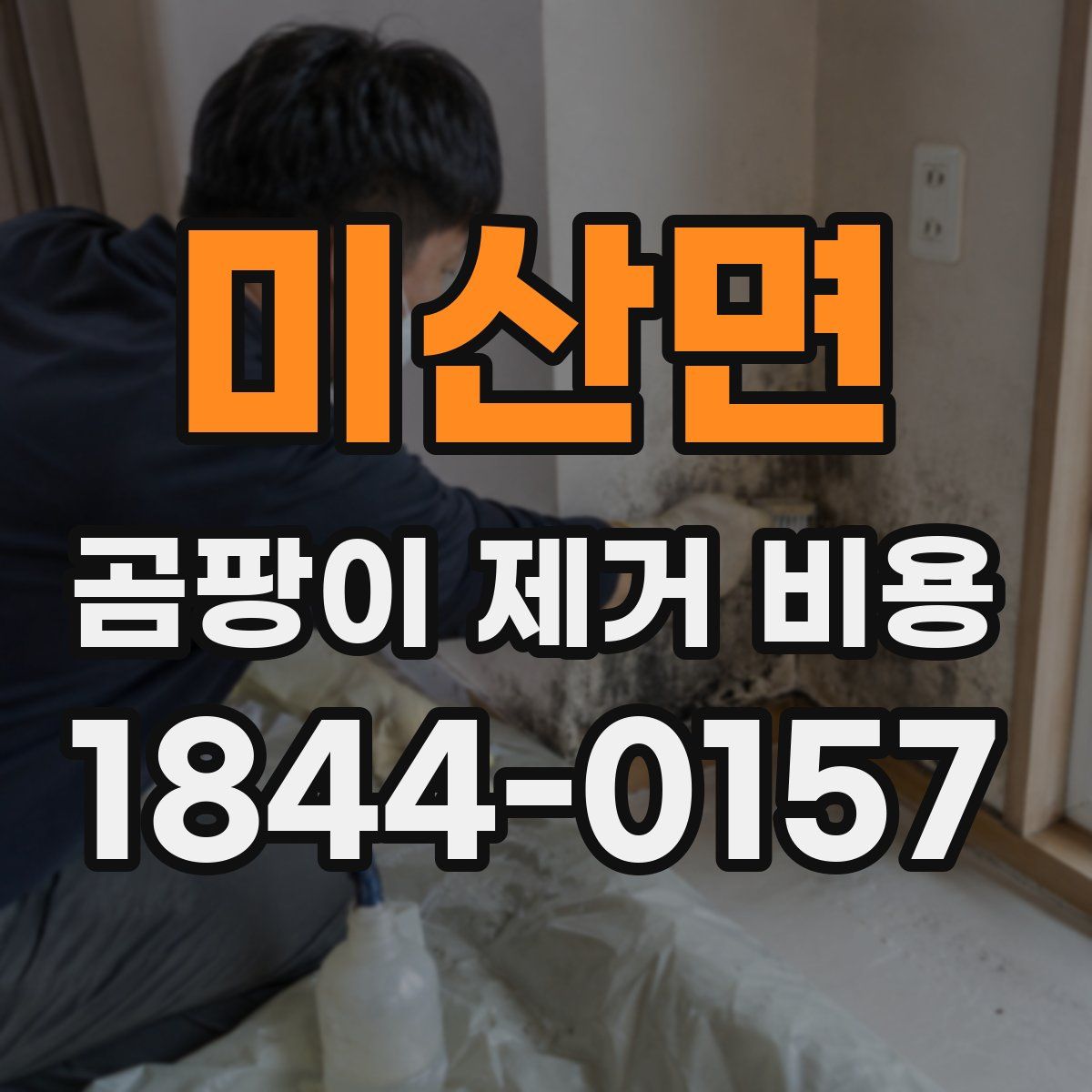 미산면 곰팡이 제거 비용