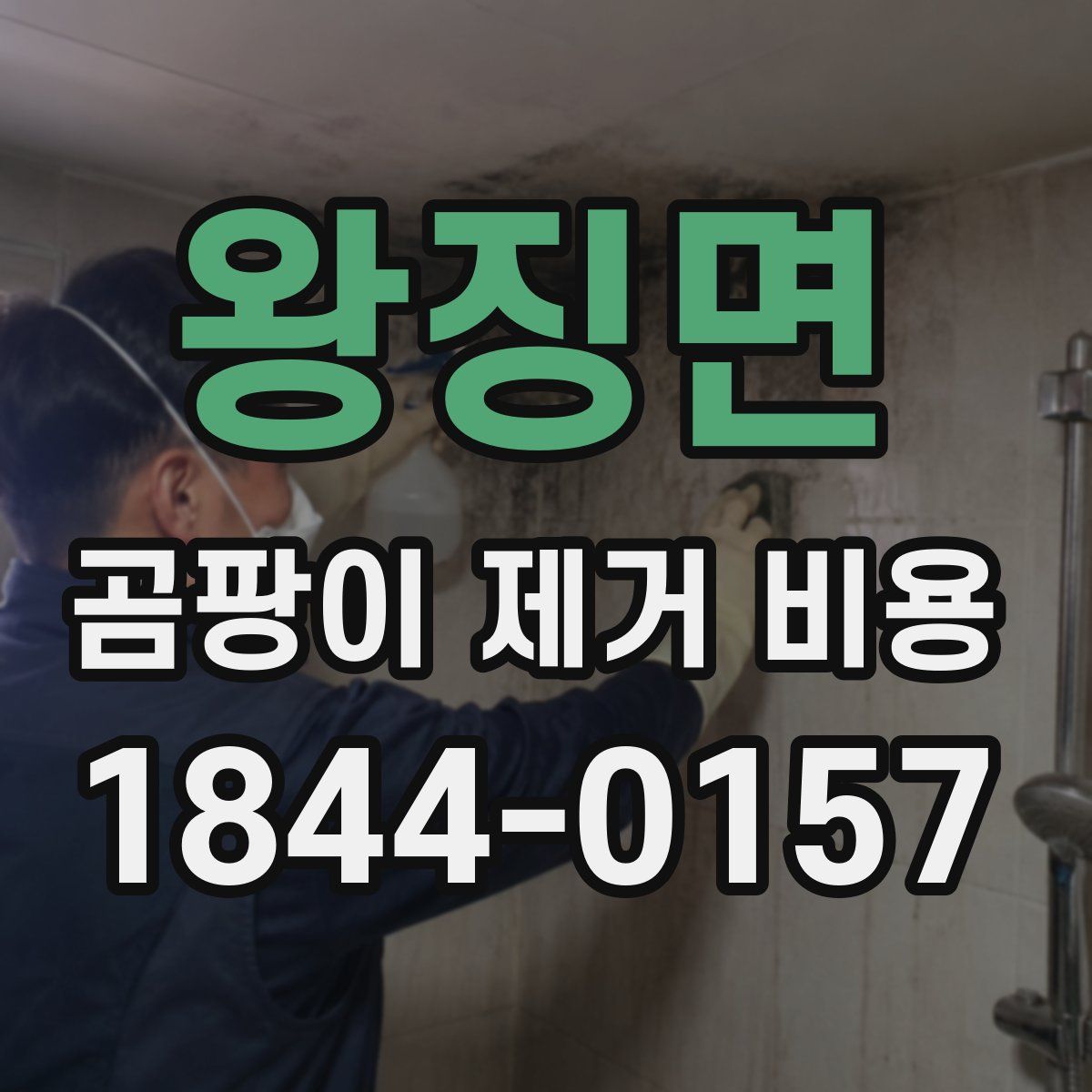왕징면 곰팡이 제거 비용