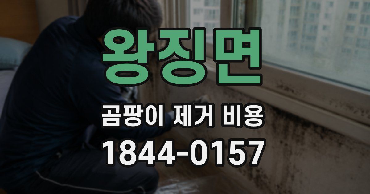 왕징면 곰팡이 제거 비용