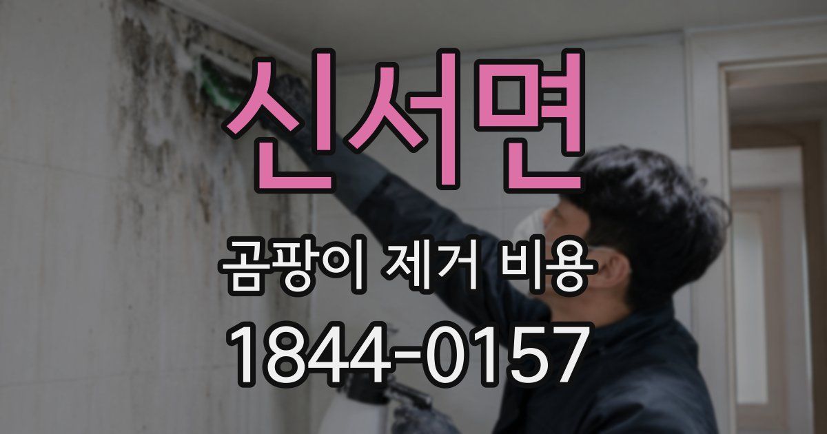 신서면 곰팡이 제거 비용
