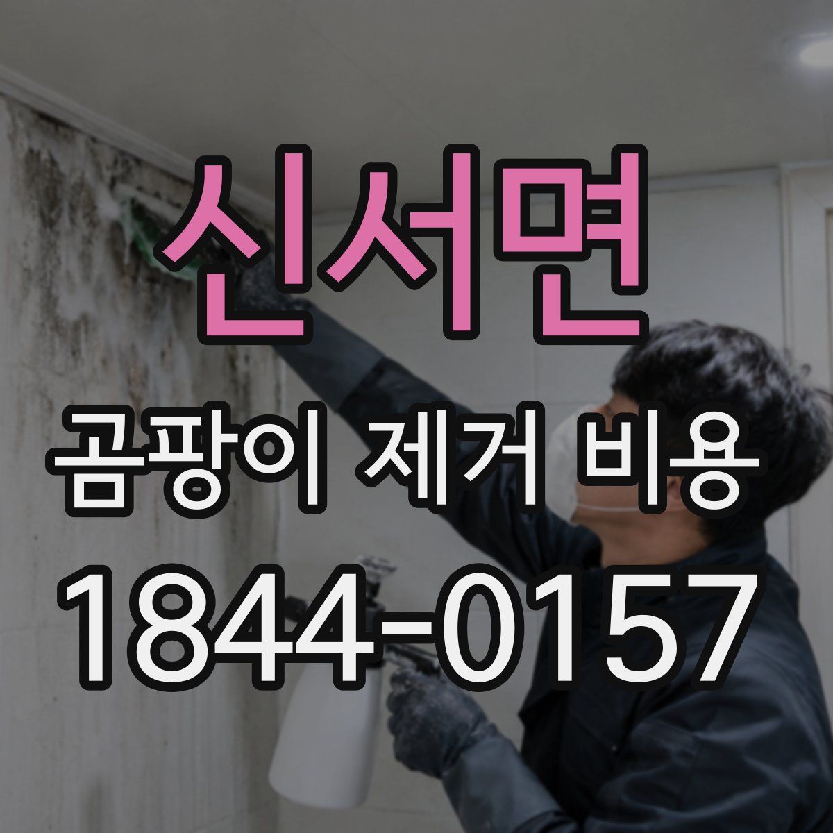 신서면 곰팡이 제거 비용