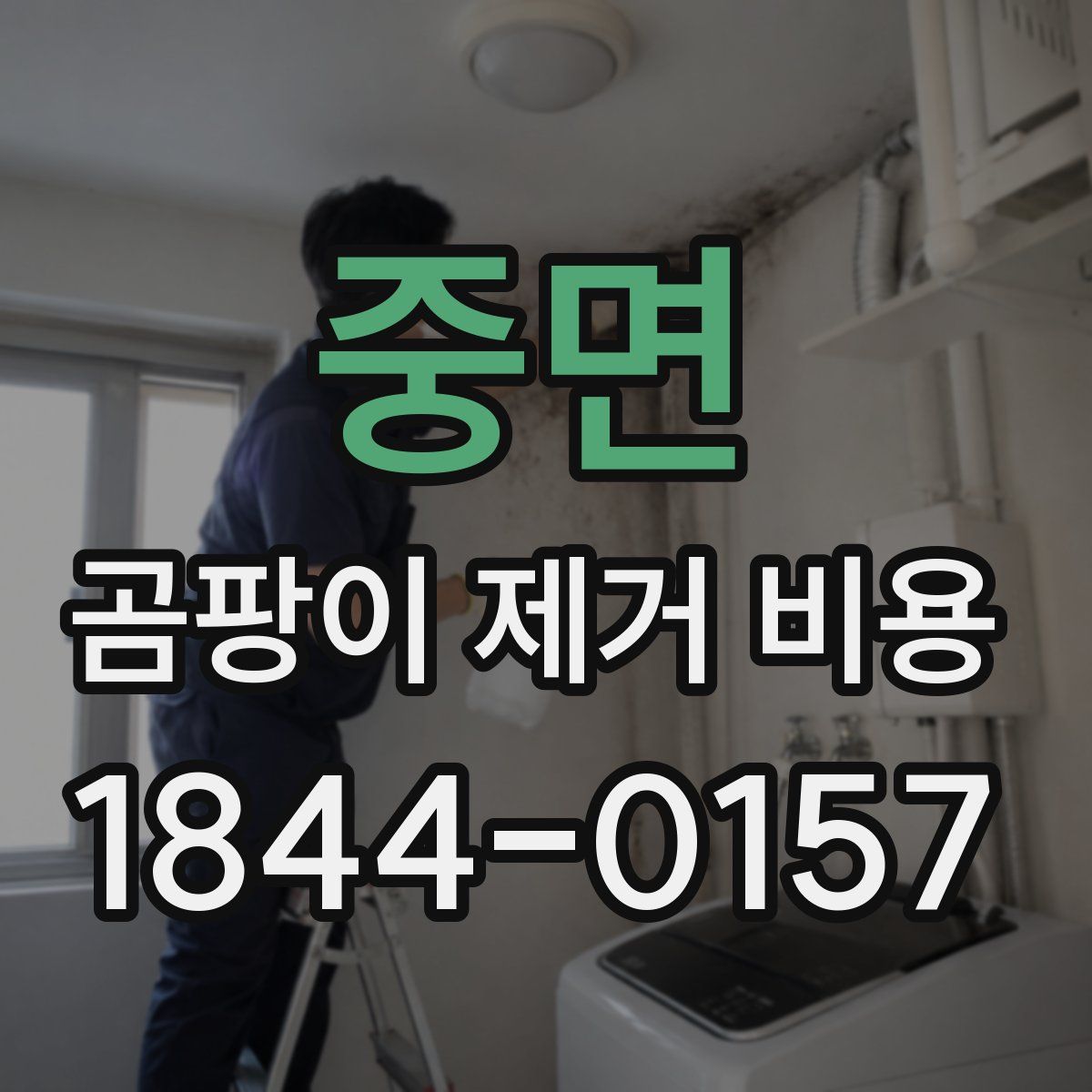 중면 곰팡이 제거 비용