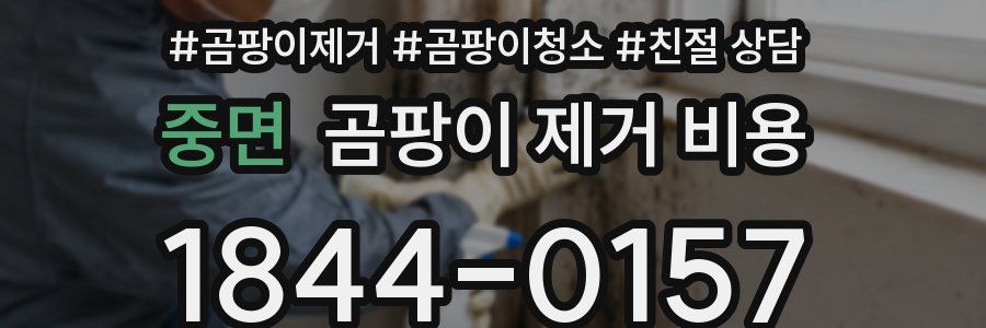 중면 곰팡이 제거 비용