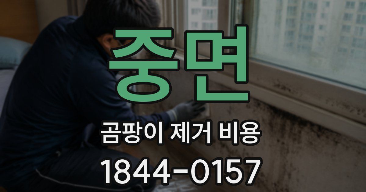중면 곰팡이 제거 비용