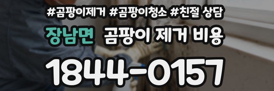 장남면 곰팡이 제거 비용