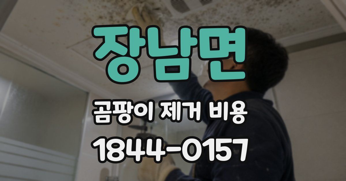 장남면 곰팡이 제거 비용