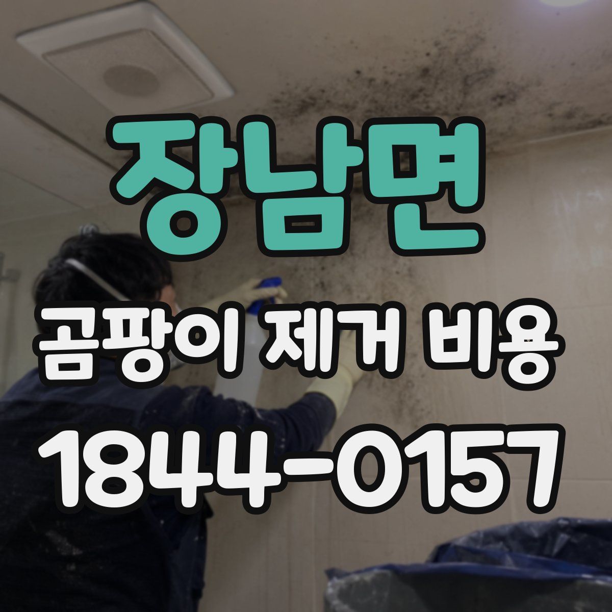 장남면 곰팡이 제거 비용