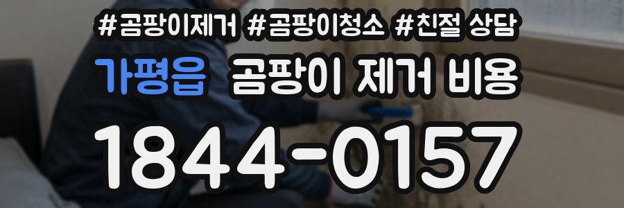 가평읍 곰팡이 제거 비용