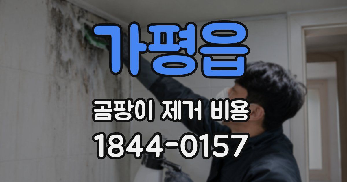 가평읍 곰팡이 제거 비용