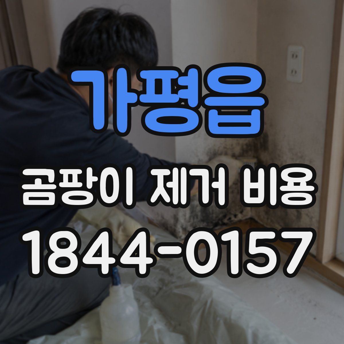가평읍 곰팡이 제거 비용