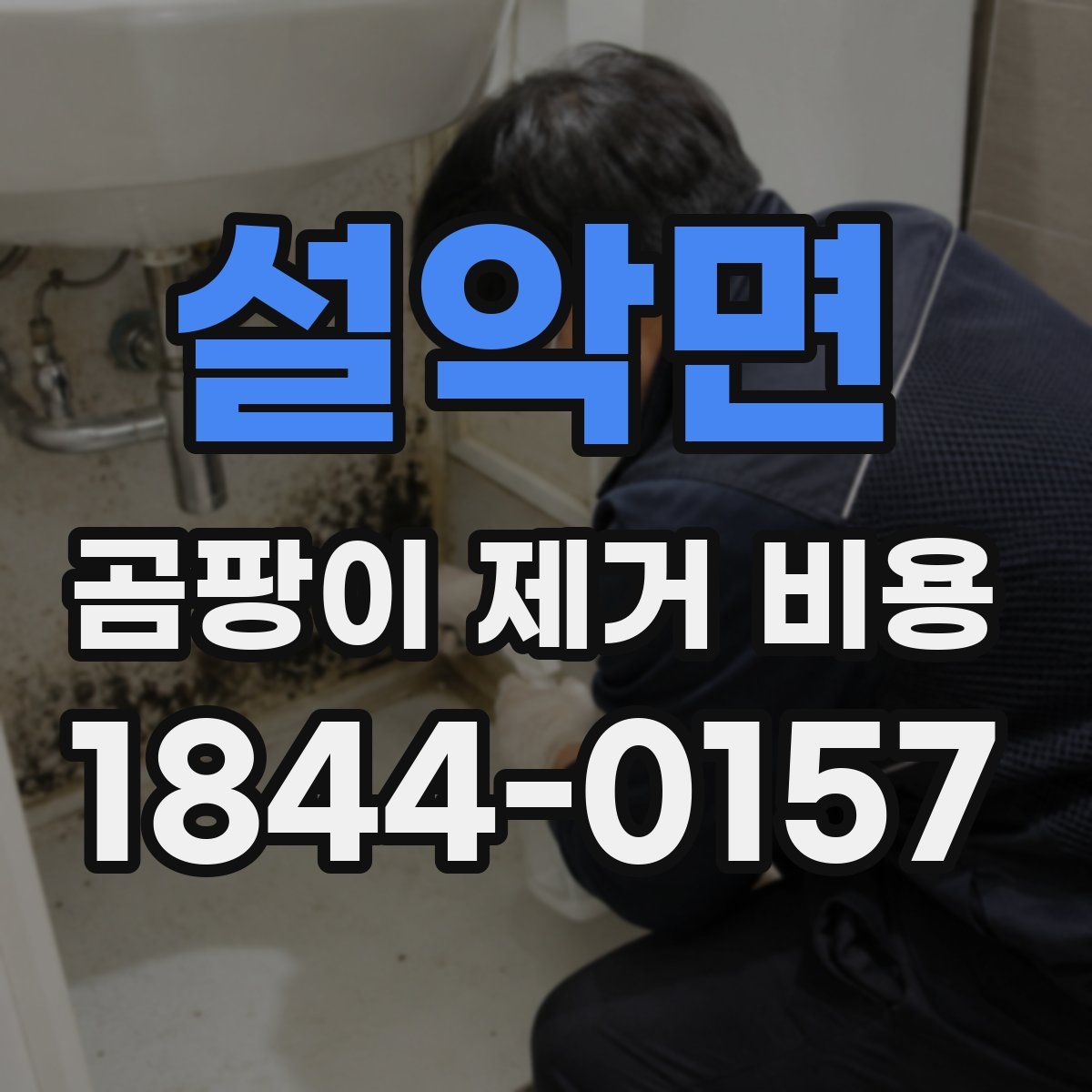 설악면 곰팡이 제거 비용