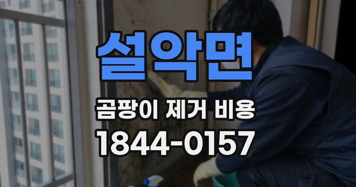 설악면 곰팡이 제거 비용