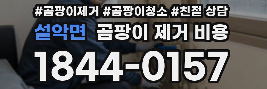 설악면 곰팡이 제거 비용