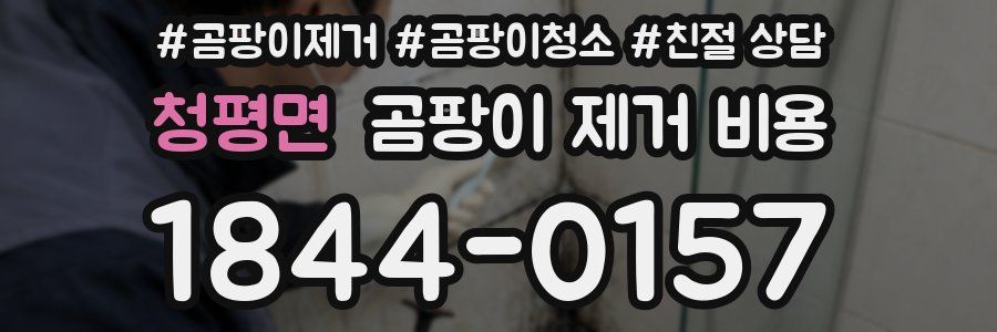 청평면 곰팡이 제거 비용