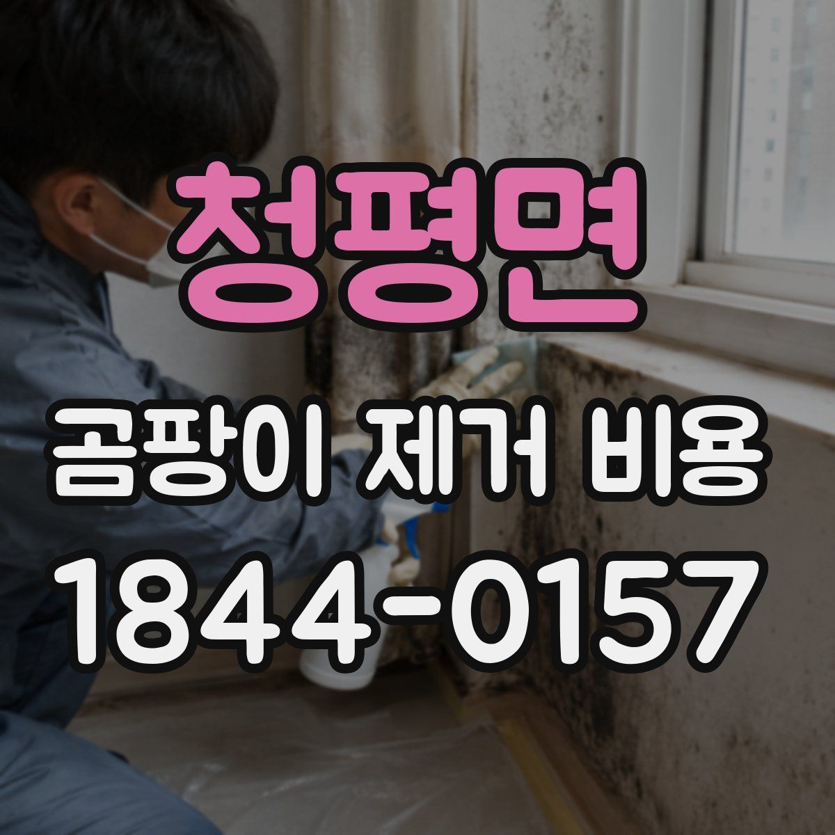 청평면 곰팡이 제거 비용